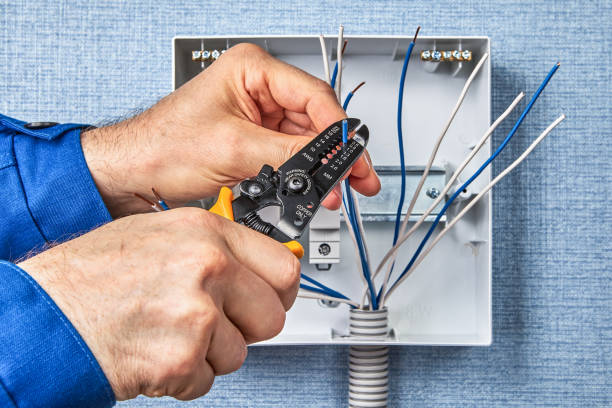 Best Electrical Panel Upgrades  in Cridersville, OH